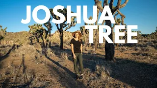 Joshua Tree National Park - ALL of the BEST Things to do, See and Experience