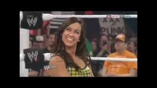 AJ Lee & CM Punk