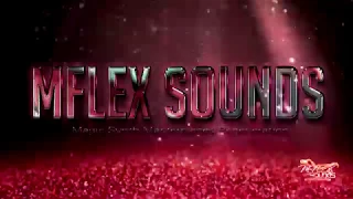 Mflex Sounds - Fly