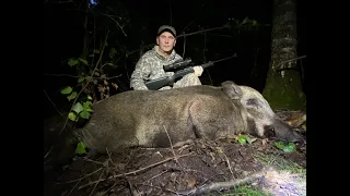 Огромный Кабан 2020 Добыл кабана с тепловизором / A Huge Boar 2020. Got a boar with a thermal imager