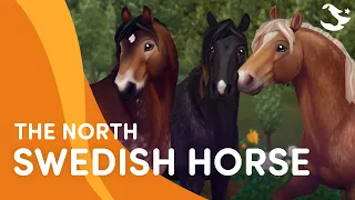 Meet the North Swedish Horse 😍💪 | Star Stable Breeds