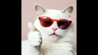 White cat with sunglasse #whitecat #cat #cute #kitten #catlover #kucing #ai #cutecat