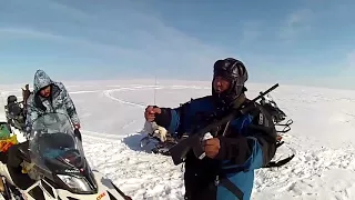 ОТСТРЕЛ ВОЛКОВ в Казахстанских степях. 2017.  Wolf shooting (Kazakhstan steppe)