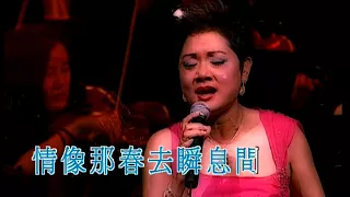 葉麗儀丨紅顏丨HKPO & Frances Yip 港樂葉麗儀 DIVA