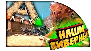 Ark Scorched Earth - КАК ПОЛУЧИТЬ ВИВЕРНУ! - МОЛОКО, ВЫРАЩИВАНИЕ ВИВЕРН В Ark Survival Evolved! #13