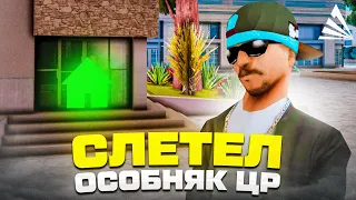 СЛЕТЕЛА *МЕТКА* у ЦЕНТРАЛЬНОГО РЫНКА - Ловля на Аризона РП