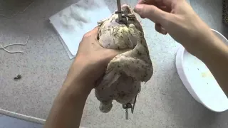 Rotisserie Chicken