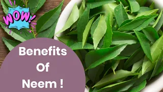 Amazing Health Benefits of Neem !