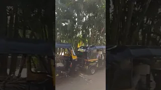 Bandra Bandstand. Video