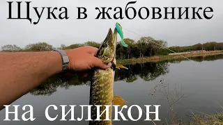 Ловля #щуки в #жабовнике на неогруженную резину.#Краснодарский край.17.04.22г