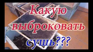 КАКУЮ ВЫБРАКОВАТЬ СУШЬ ИЗ РАМОК?🔥