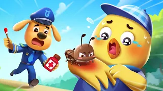 Don't Play With Ants +More | Sheriff Labrador Collection | Kids Cartoon |  BabyBus TV