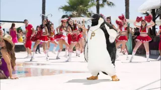 Pino il Pinguino - La Metà (Summer Smart) Full Edition