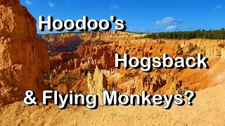 Bryce Canyon, Hogsback & Flying Monkeys