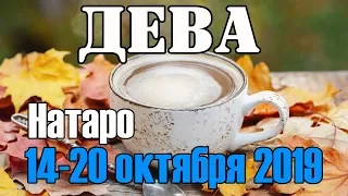 ДЕВА - таро прогноз 14-20 октября 2019 года НАТАРО.