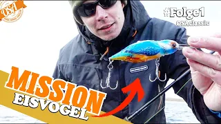 Fange mit einem EISVOGEL einen Hecht! OSA in Mission "CLASSIC" Folge 1