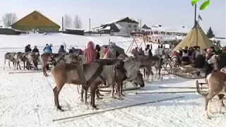 Отметили с размахом. В селе Толька отпраздновали День оленевода