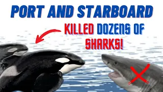 Port & Starboard (2009-2023) Most Prolific Shark Killers Ever Recorded!