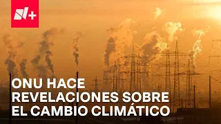 Cambio climático: ¿Qué dice el informe de la ONU? - Despierta