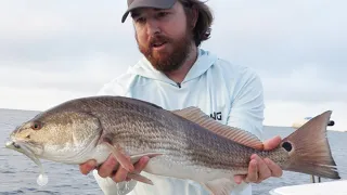 Top 5 Redfish Fishing Mistakes & Misconceptions