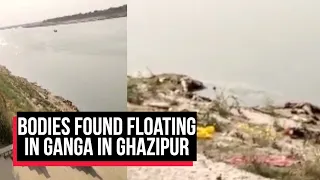 UP: After Bihar, Bodies Found In Ganga In Ghazipur | Cobrapost