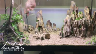 How to make an aquarium aquascaping: Dragon Scape