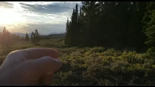 Amazing Sasquatch Vocalizations Recorded in British Columbia