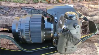 Helios 40-2N (Гелиос 40) и примеры фото Nikon D810 и D200 (8.10.2022)