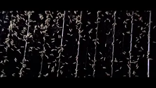 Suspiria (1977) - Maggots Scene (English)