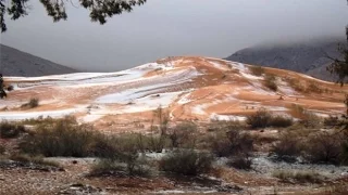 В пустыне Сахара, Выпал снег, 2017, In the Sahara desert, snow fell