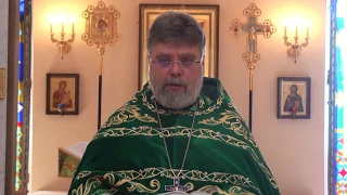 Проповедь отца Григория Григорьева 17 июня 2019 г. в День Святого Духа