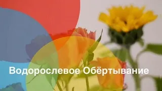 Водорослевое обертывание