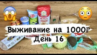 Живу на 1000 рублей! День 16. Экономны рецепты. Выживание.