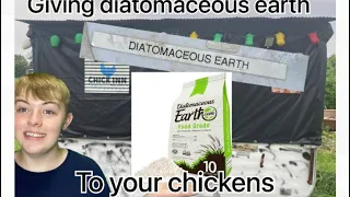 Different Ways To Give Diatomaceous Earth To Chickens 🐓