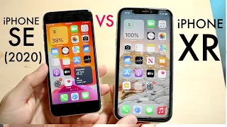 iPhone SE (2020) Vs iPhone XR In 2022! (Comparison) (Review)