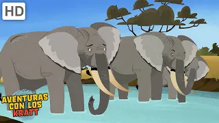 Criaturas muy grandes | Ballenas, elefantes + más! [episodios completos] Aventuras con los Kratt