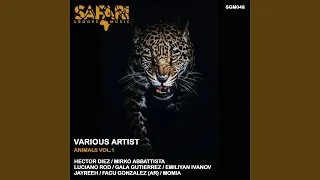 Sazon (Original Mix)