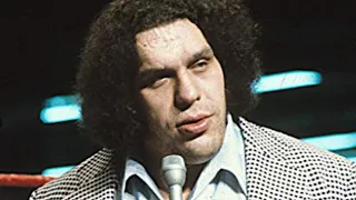 Here's How Much Money Andre The Giant Was Worth When He Died