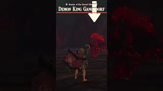 Lore Accurate Link vs Demon King Ganondorf