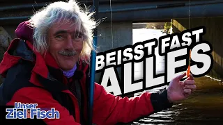 BARSCH mit BOLO RUTE ? ERFOLGREICH ANGELN im WINTER -Angelschule mit Jörg Ovens-Unser Ziel ist Fisch