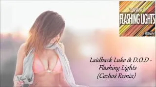 Laidback Luke & D.O.D - Flashing Lights (Cechoś Remix) | FBM