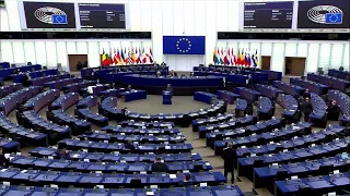 Выступление Татьяны Жданок на пленарной сессии Европейского парламента 19 января 2022 года