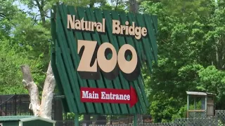 Ownership change at Natural Bridge Zoo