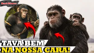 REVELADO! NOA É DESCENDENTE DO CESAR?