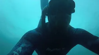 Freediving and Spearfishing Cape Town South Africa