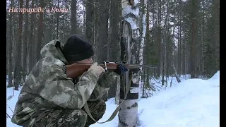 Карабин Лось7-1/Пристрелка оптики/ Стреляю 50-100 м.