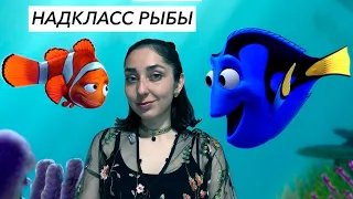 Урок "Надкласс Рыбы" — ЦТ, ЕГЭ, ЗНО