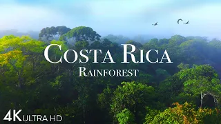 Costa Rica Rainforest 4k - Happiest Country On Earth With Exotic Wildlife | Scenic Relaxation Film