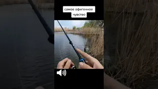 рыбалка это кайф #рыбалка #fishing #рекомендации