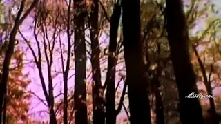 Ретро 50 е - Владимир Нечаев - Осенние листья (клип)